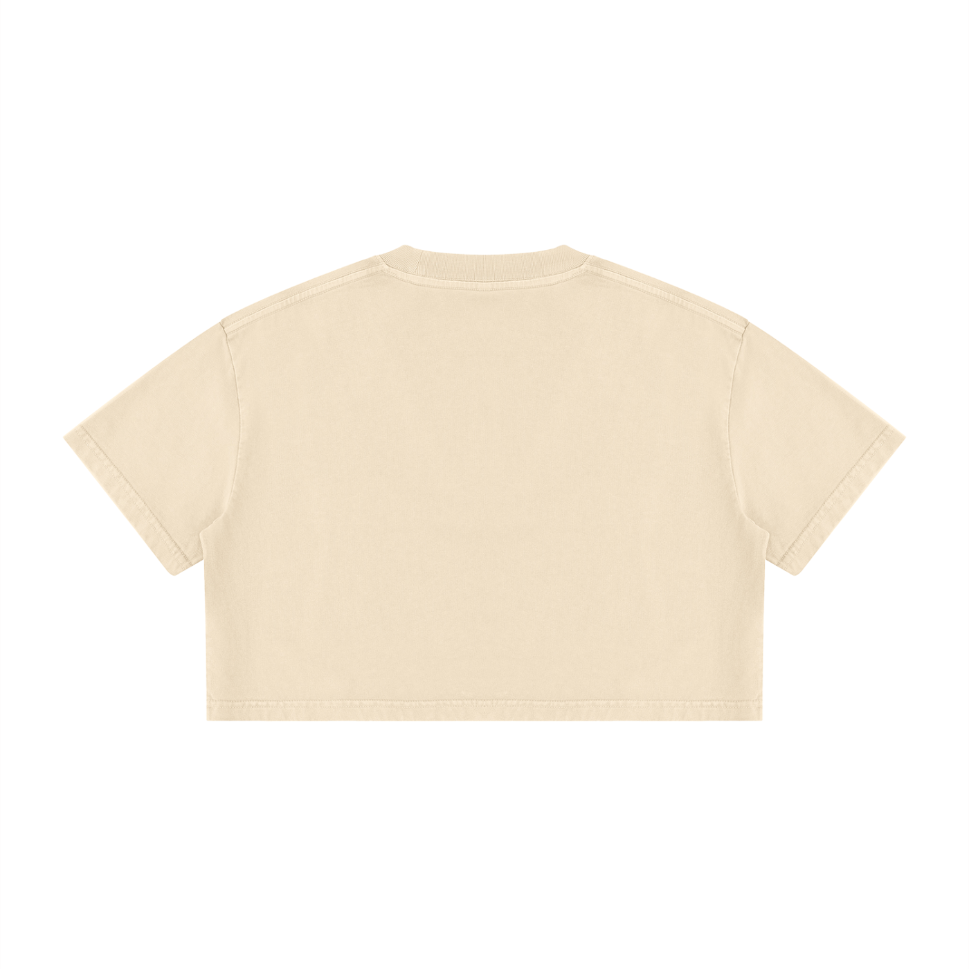 Adult Season 2 Crop Tee